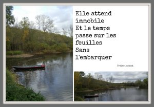 Elle attend immobile texte