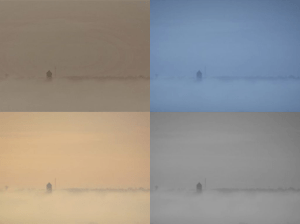 Collage Levé d'église