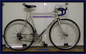 sprint-1977-blog